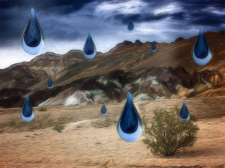 desert rain CRY09